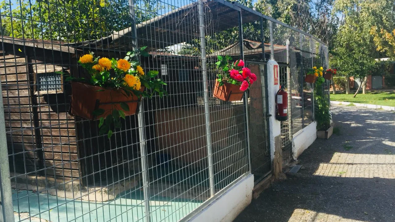 Residencia Las Chiveas