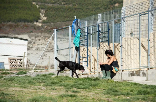 Residencia Canina Naroa