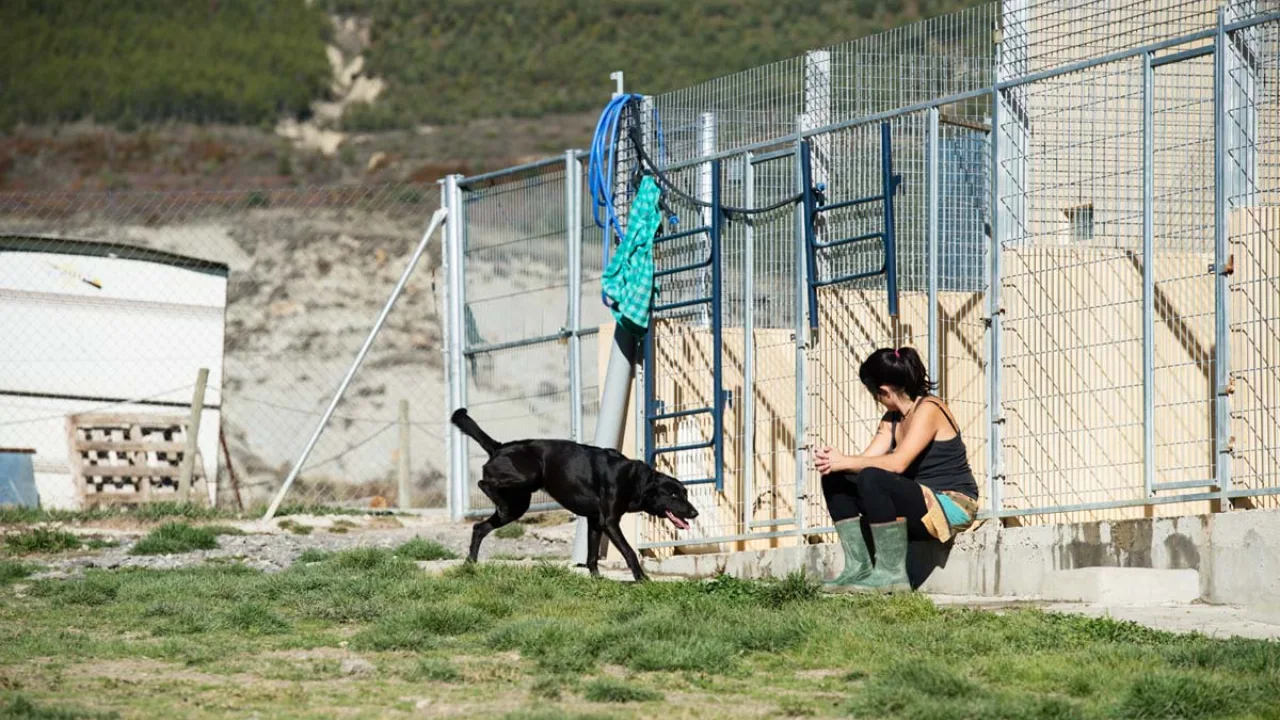 Residencia Canina Naroa