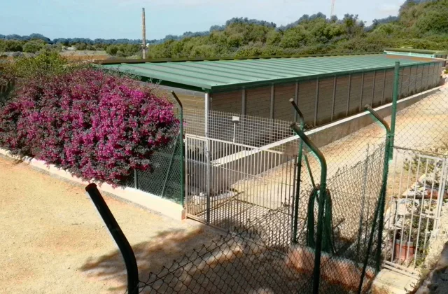 Residencia Canina Menorca