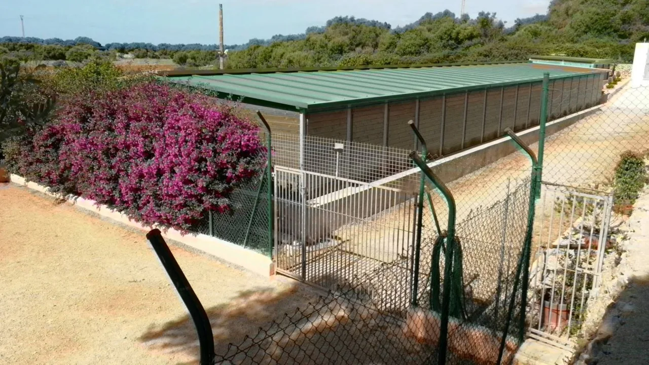 Residencia Canina Menorca