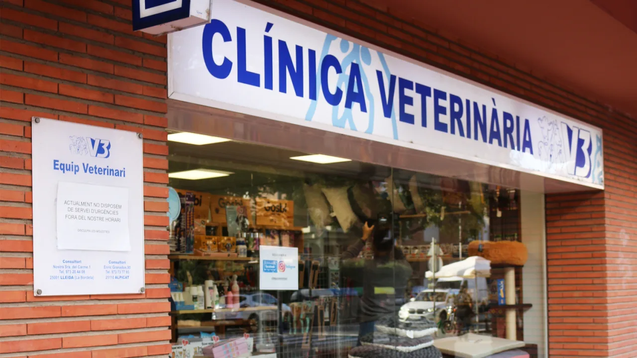 V3 Equip Veterinari