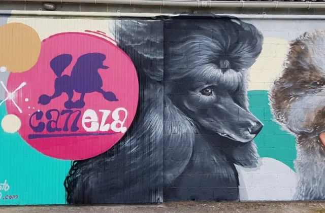 Canela Peluquería Canina