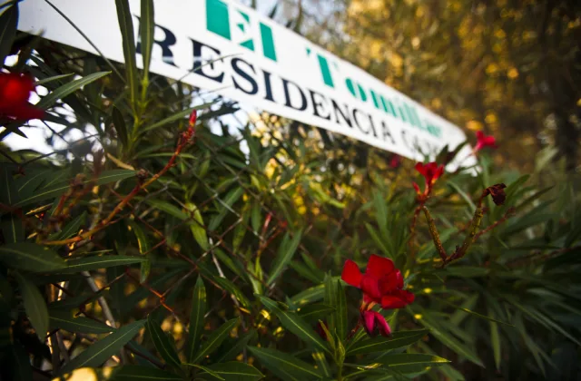 Residencia Canina El Tomillar