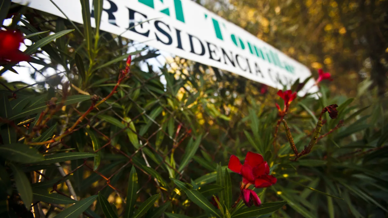 Residencia Canina El Tomillar