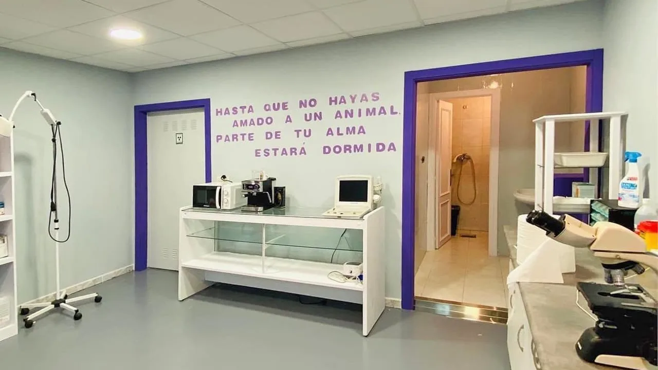 Centro Veterinario San Roque