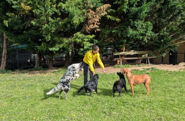 Hotel Canino Ramalladas