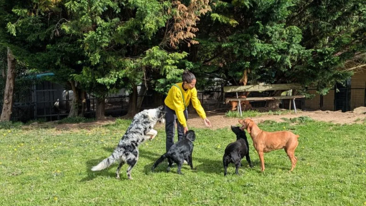 Hotel Canino Ramalladas
