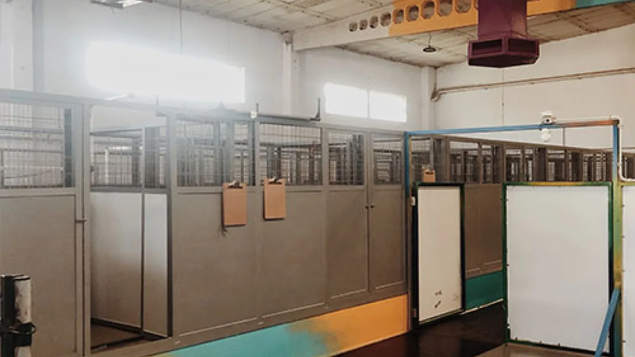 Centro Canino O Meu Can