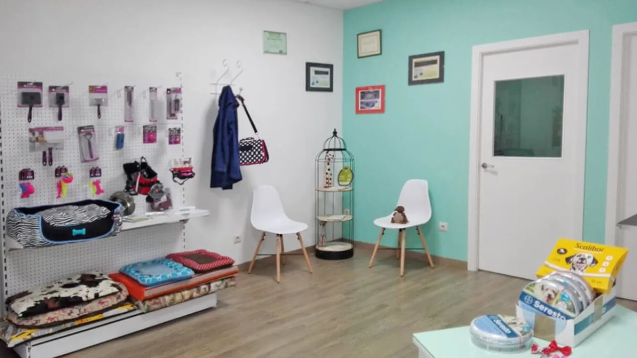 Salón de Peluquería Canina Pontevedra