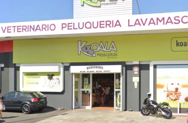 Koala Mascotas Los Cristianos
