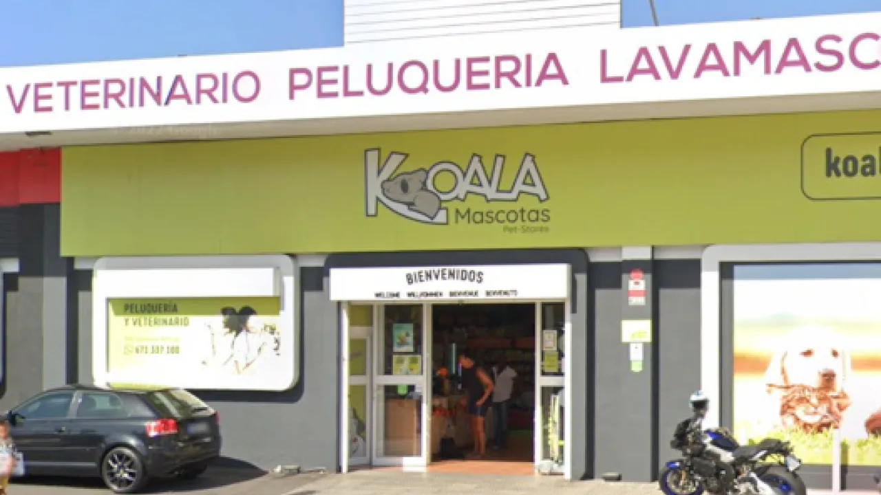 Koala Mascotas Los Cristianos