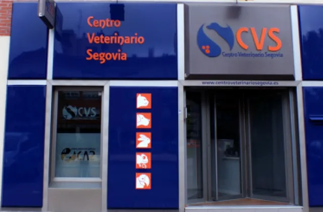 Peluquería del Centro Veterinario Segovia