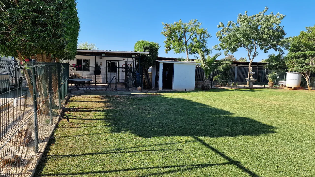 SchoolCanin Residencia Canina