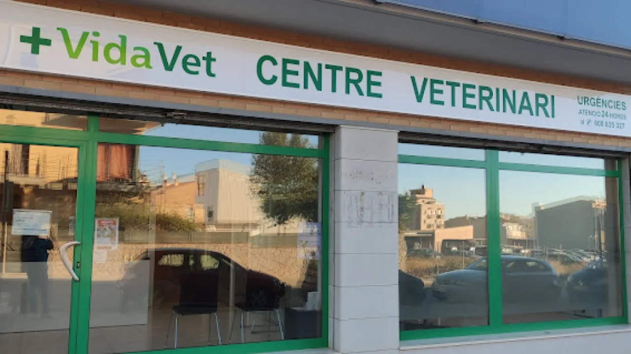Vidavet Clínica Veterinaria El Vendrell