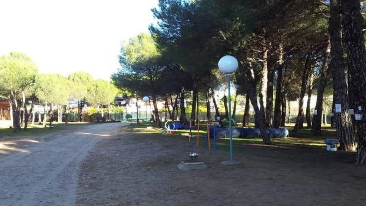 Residencia Canina Los Valles