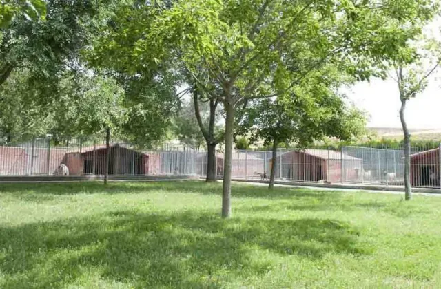 Centro Canino La Yosa