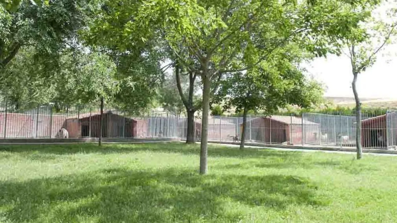 Centro Canino La Yosa