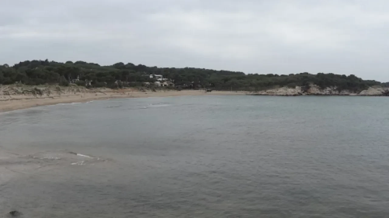 Platja del Rec del Molí (l'Escala)