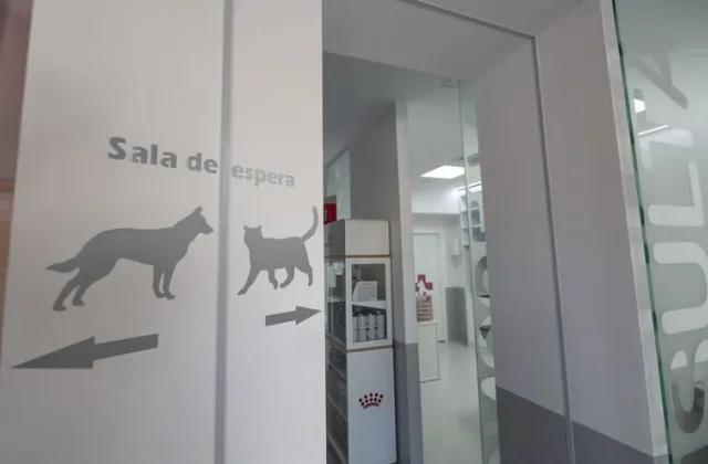 Clínica Veterinaria San Agustín
