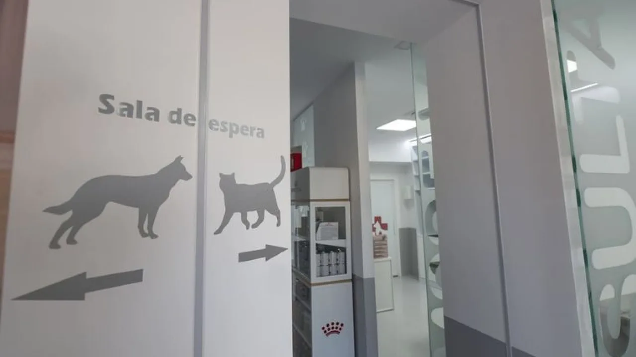 Clínica Veterinaria San Agustín
