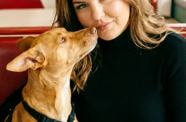 Ir a un restaurante con perro: cómo reservar, elegir mesa y distinguir interior de terraza