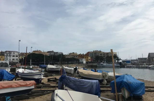 Platja Gran de Palamós, tramo canino de invierno