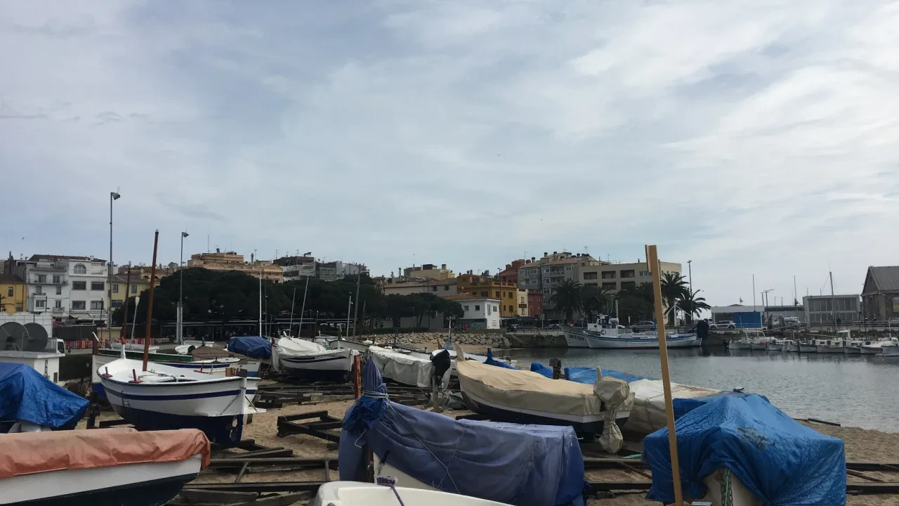 Platja Gran de Palamós, tramo canino de invierno