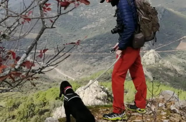 Monfragüe con perro, con Gorrión Ecoturismo