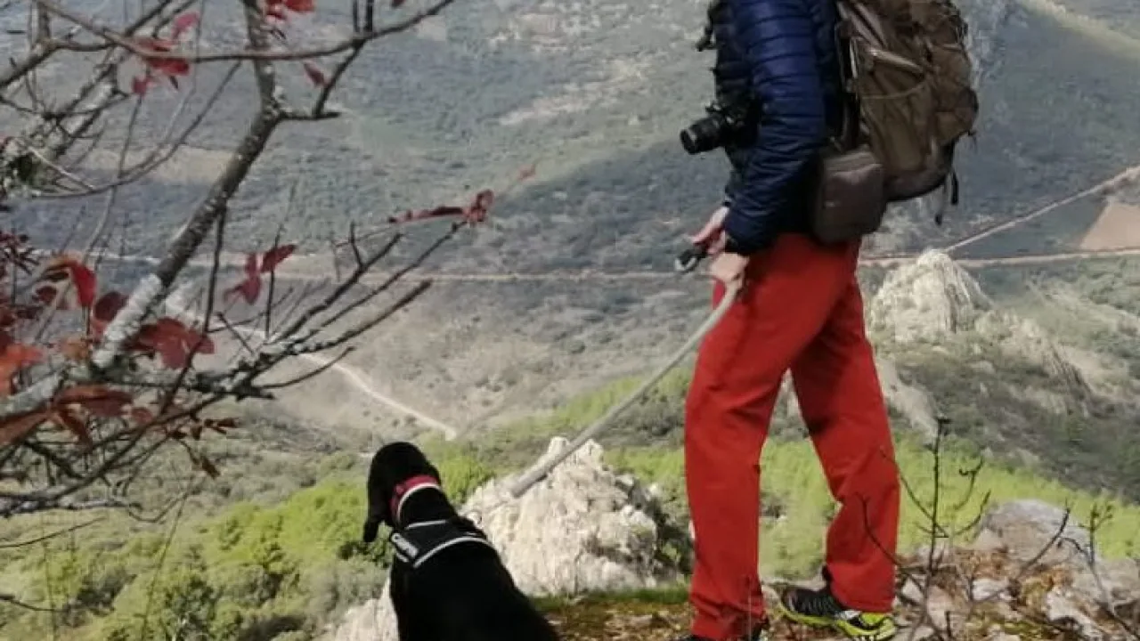Monfragüe con perro, con Gorrión Ecoturismo