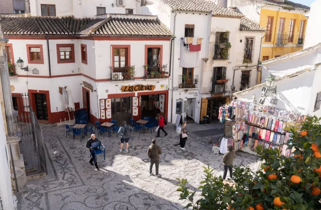Albaicín y Sacromonte con perro, con Balea Travel