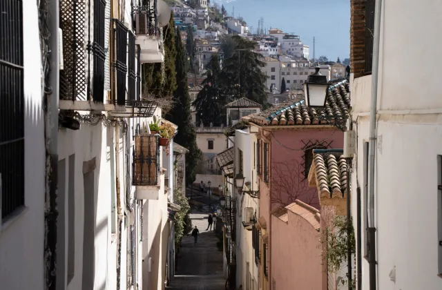 Centro y Realejo con perro, con Balea Travel