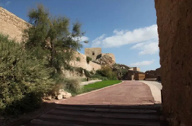 Castillo de Lorca con perro