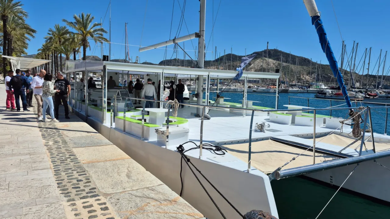 Paseo diario en catamarán Y-Olé con perro