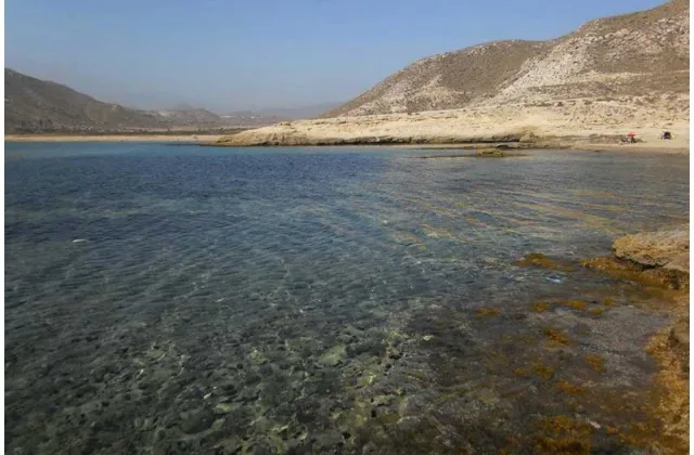 Kayak con Buceo Las Negras y perro