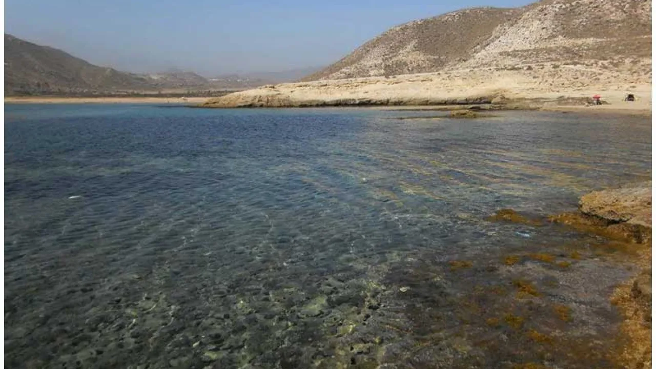 Kayak con Buceo Las Negras y perro