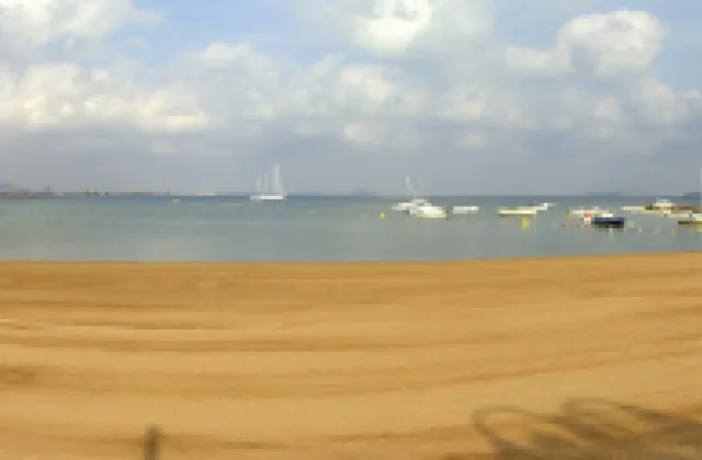Playa canina de Las Salinas – Los Alemanes (La Manga, Cartagena)