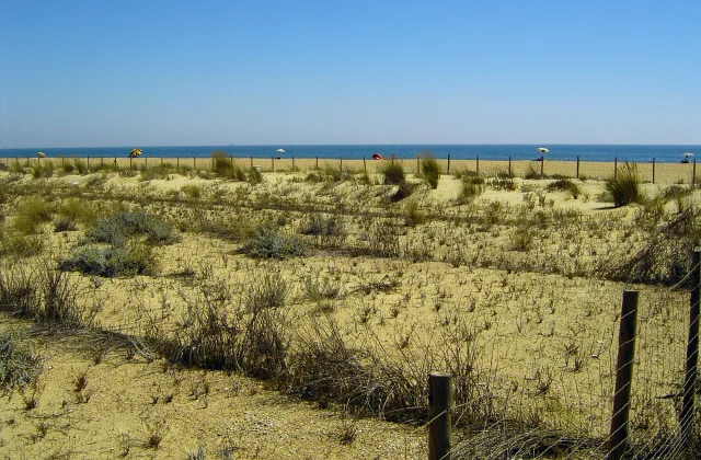 Zona canina de la playa del Espigón (Huelva)