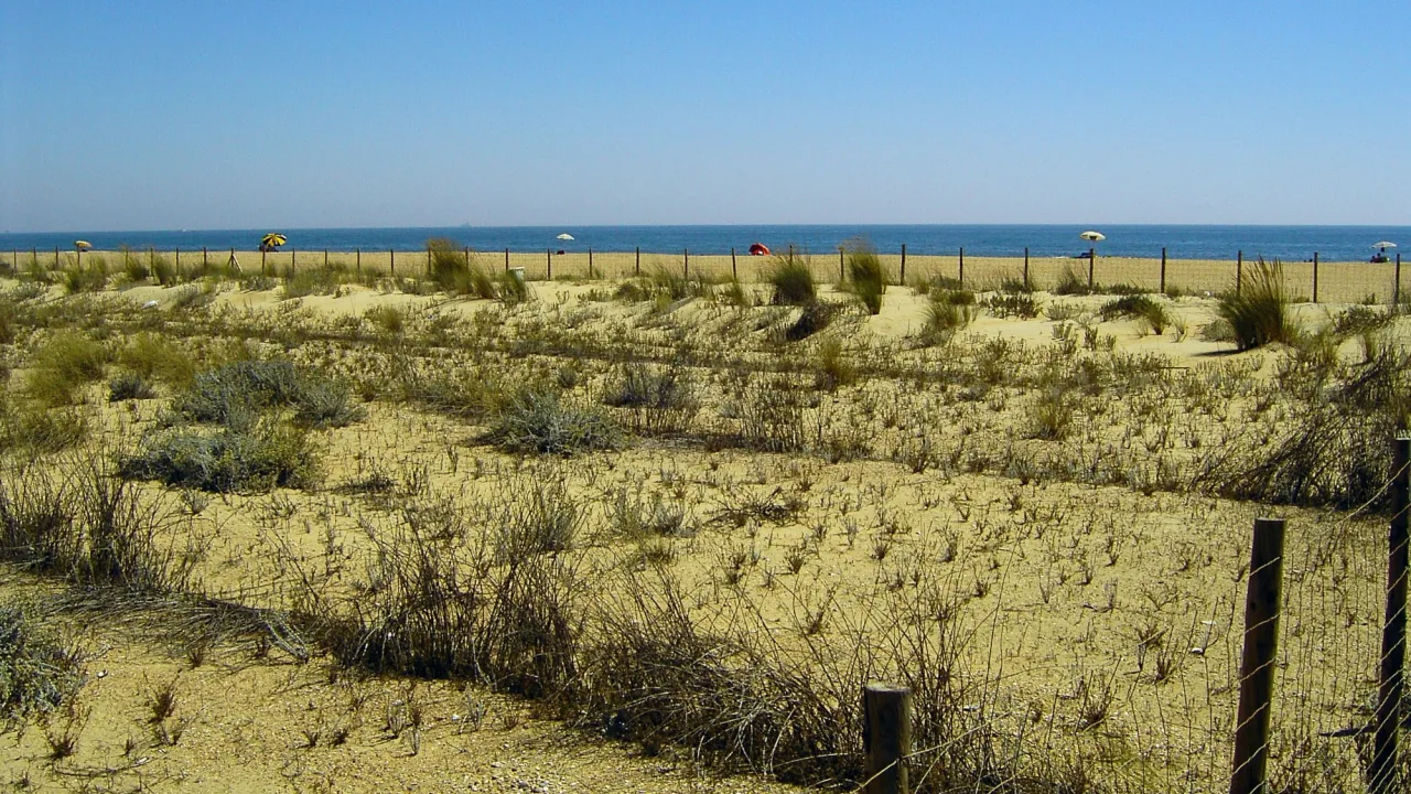 Zona canina de la playa del Espigón (Huelva)