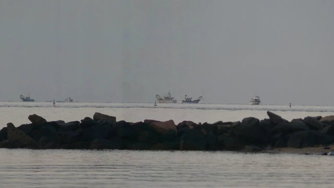 Playa canina de La Canaleta (Punta Umbría)
