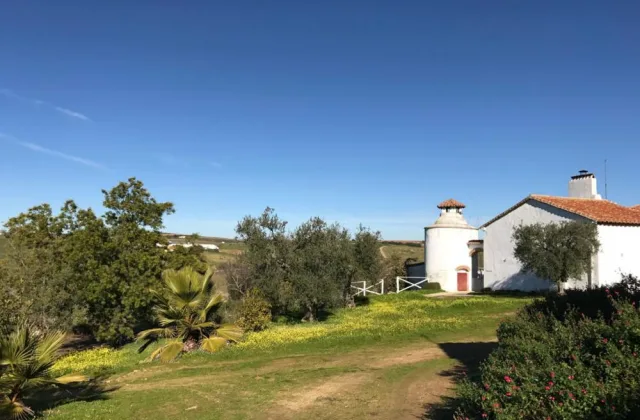 Cortijo Viña del Duco