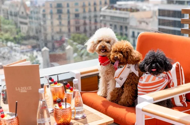 Majestic Hotel & Spa Barcelona
