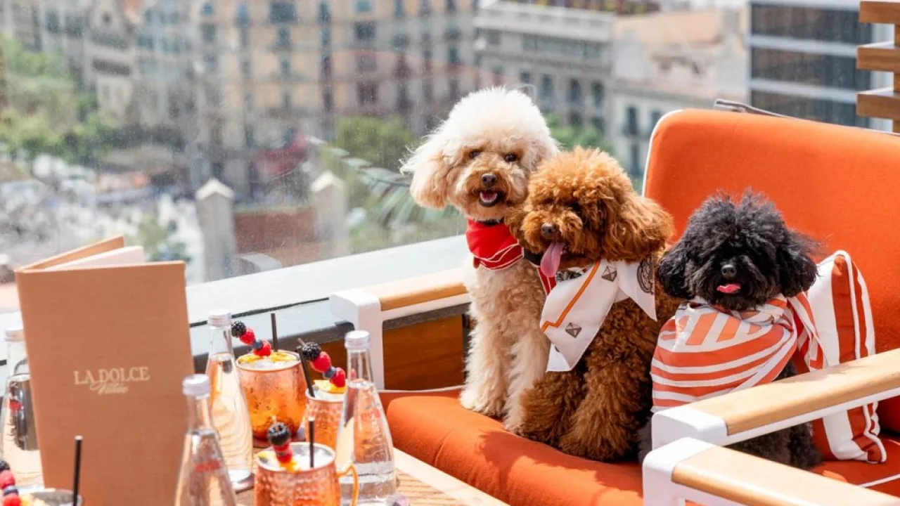 Majestic Hotel & Spa Barcelona