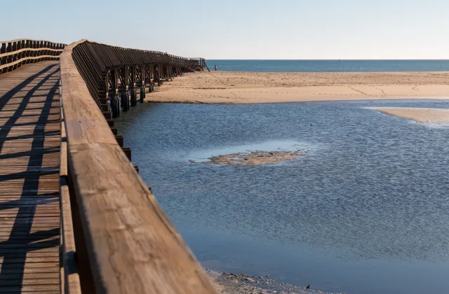 Playa canina de La Gola (Isla Cristina)
