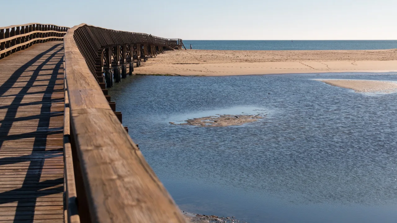 Playa canina de La Gola (Isla Cristina)