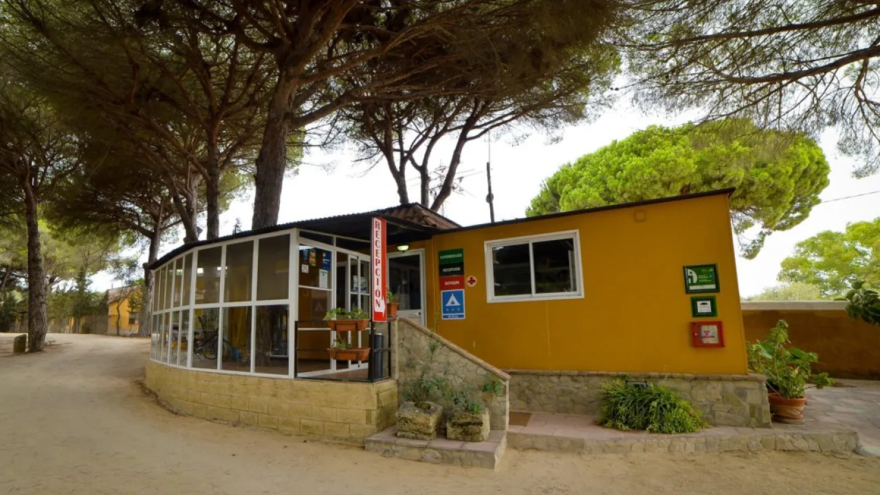 Camping Vejer