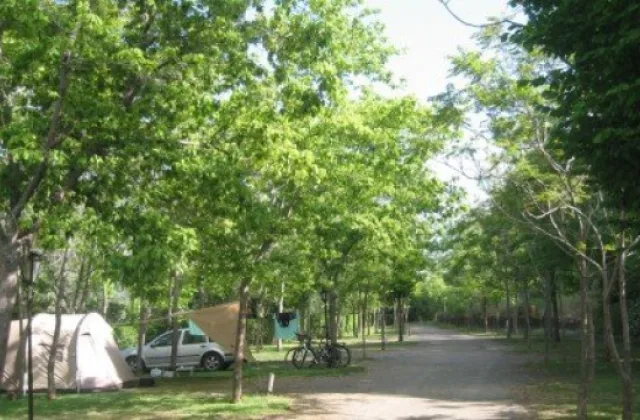 Camping Trevélez