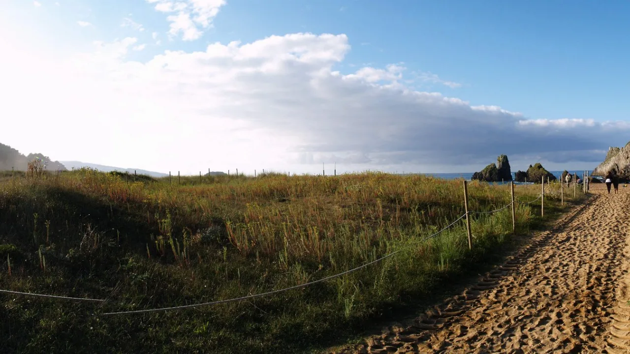 Playa de Laga