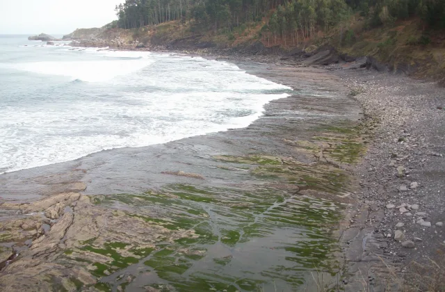 Playa de Ogella (Ogeia)