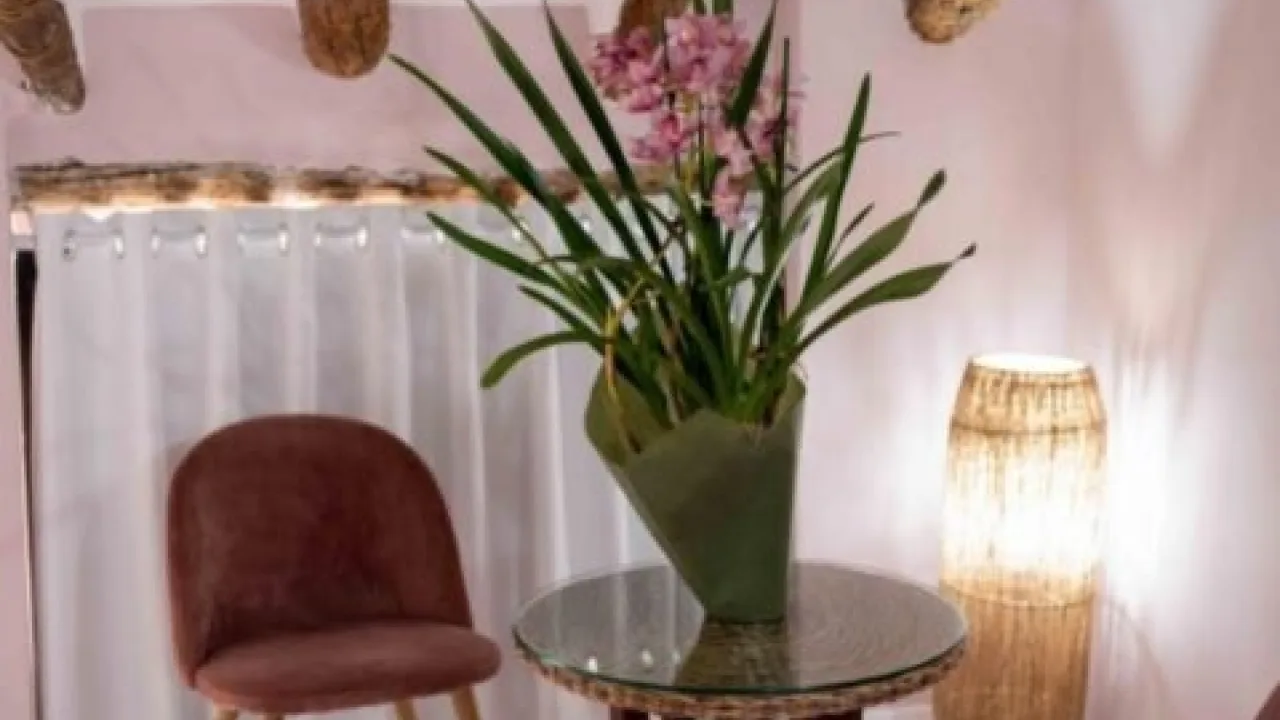 Hotel Boutique Almunia